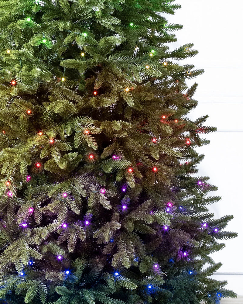 Árvore de Natal -  Saratoga Spruce + 700 LEDS